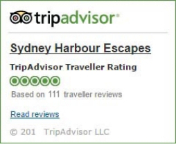 Trip Advisor Review